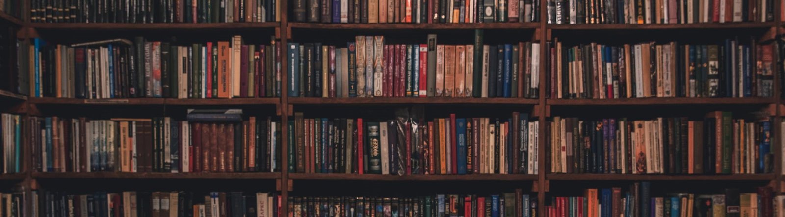 page hero, library full of books