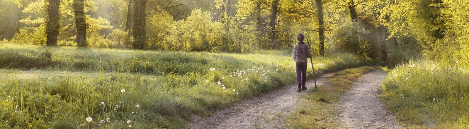 page hero, a person starting to walk down a trail